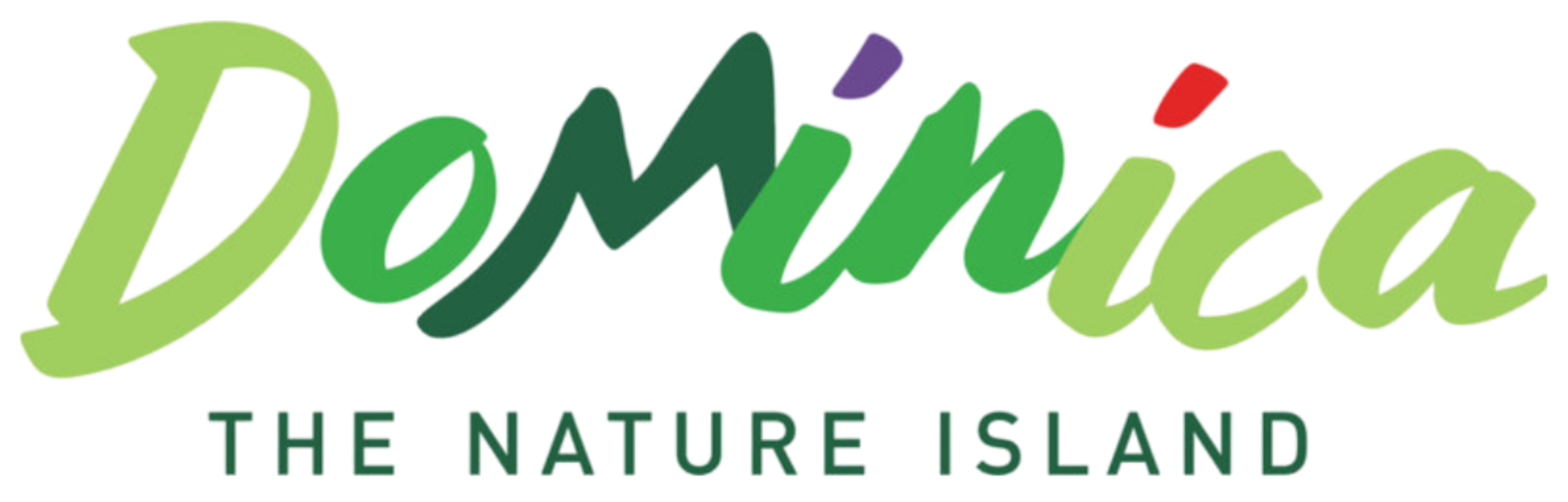 The logo for 'Dominica - The Nature Island' features the word 'Dominica' in a stylized, multi-colored script font with shades of green, purple, and red, above the text 'THE NATURE ISLAND' in dark green sans-serif font, all on a plain white background.